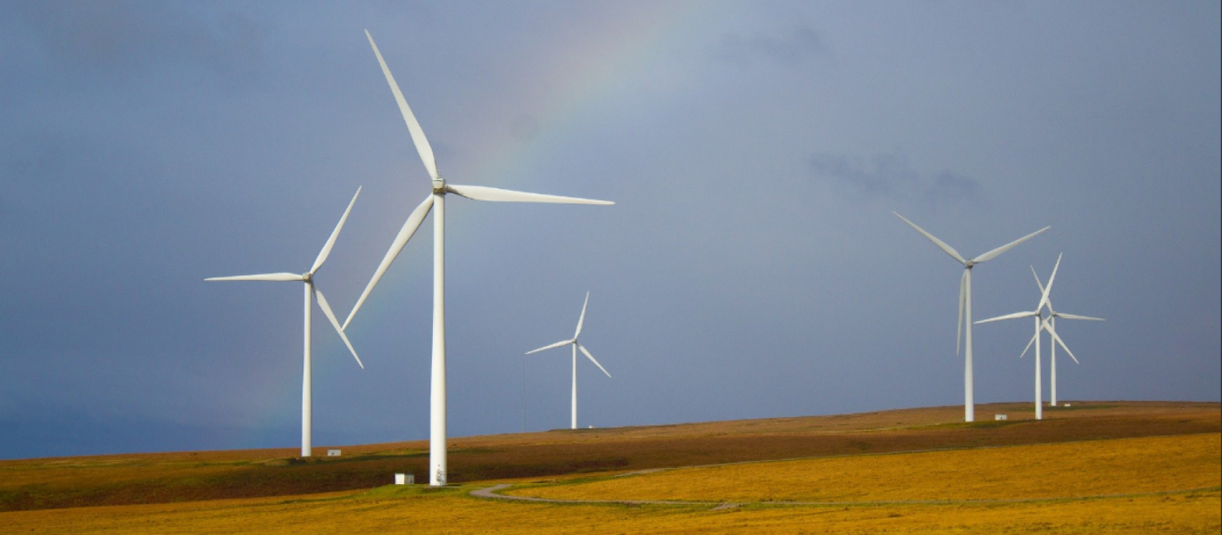 Smart home technology is the future of sustainability. 