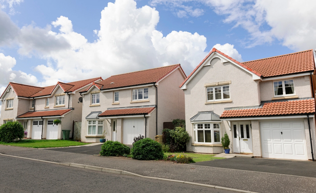 Single-family rentals are an attractive option for renters and investors. 